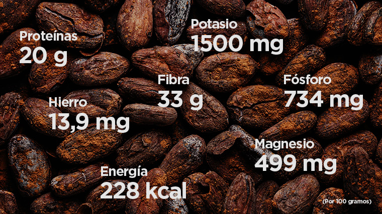 propiedades nutricionales del cacao